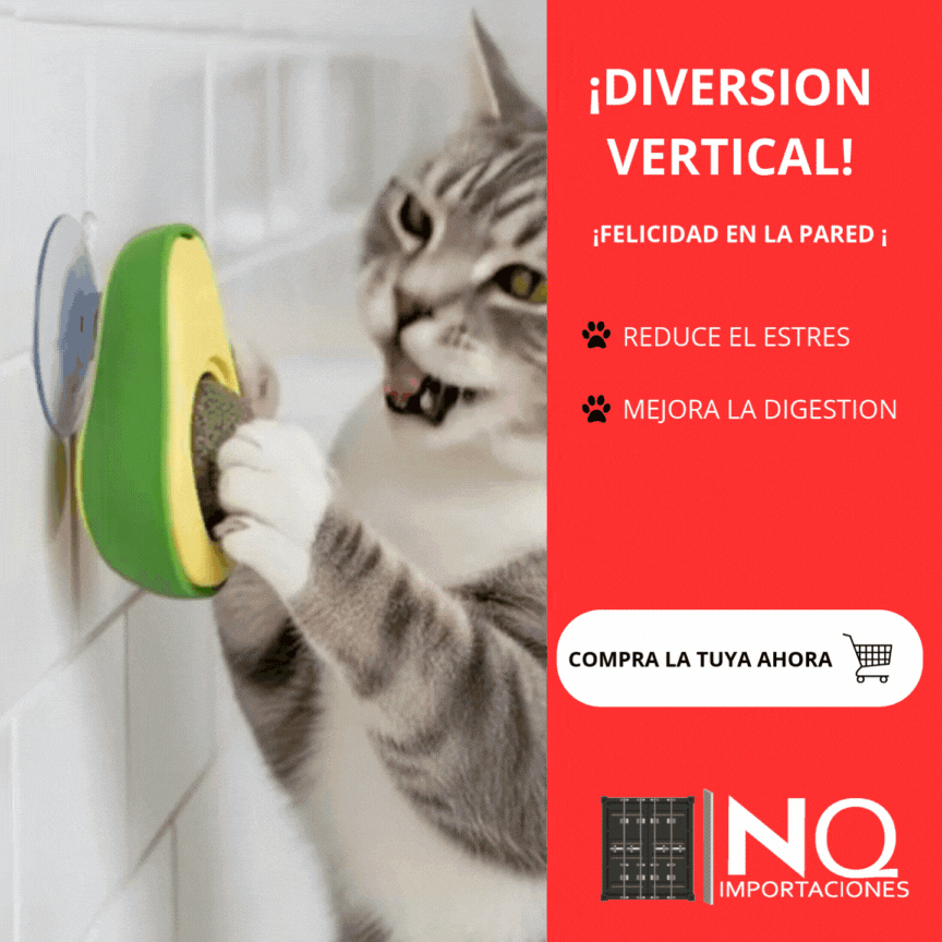 Juguete interactivo de aguacate con hierba gatera para gatos 3X1